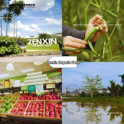Zenxin Organic Farm Kluang Johor — 有机农产品与农场导览体验